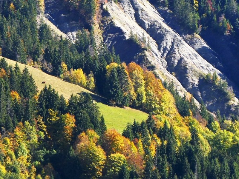 forets automne été indien Grand Bornand sentiers vttae