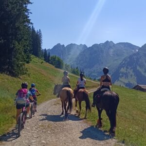 combinez vos passions pour l'équitation et le vtt et vivez avec nous une randonnée en pleine nature