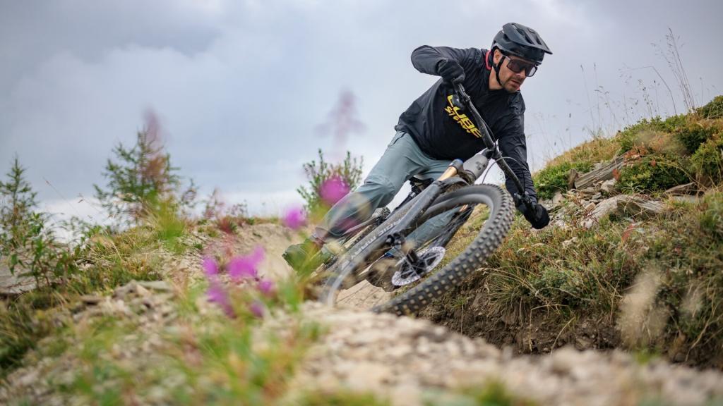 enduro bikepark electrique (cube bikes)