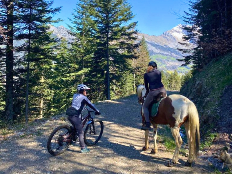 pratiquant vtt et equitation en sortie ensemble