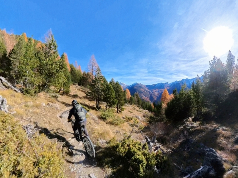 Coulisses de notre repérage du Queyras en VTTae 16 descente foret montagne queyras vttae aravebike