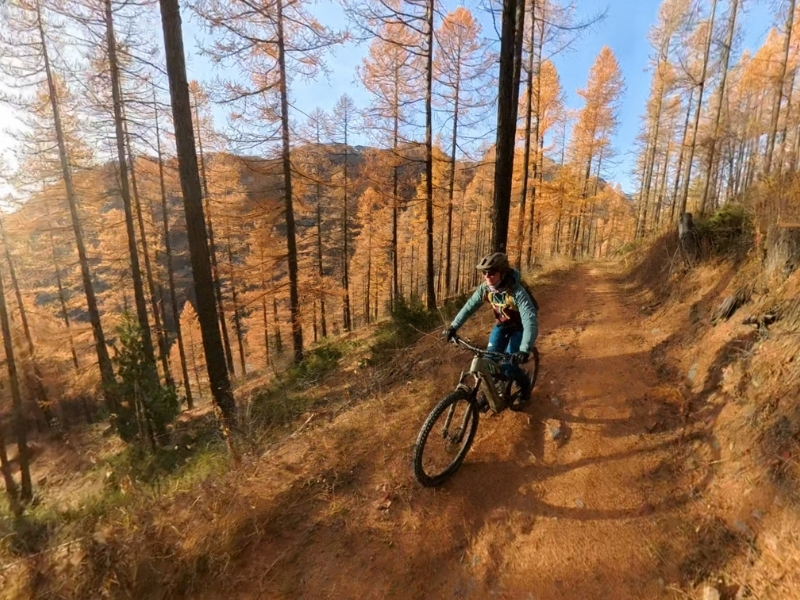 melezes automne ete indien novembre