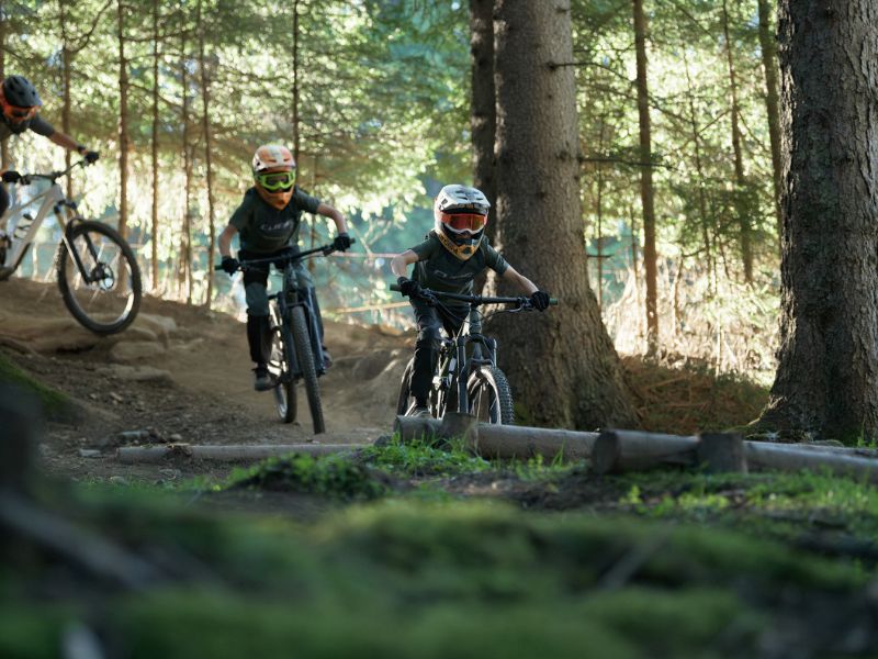 vtt foret montage velo a suspensions