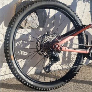 trailray raymon vtt electrique taille M entretien révision occasion