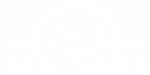 LOGO01_VECTO_Blanc Logo Aravebike Blanc png