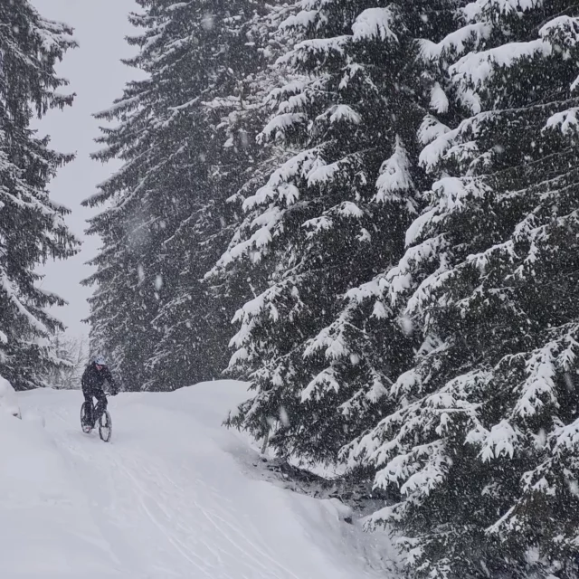 Retour de l'hiver, on était prêts ! A qui le tour ?
#velosurneige #activiténeige #mongrandbo #monchinaillon #savoiemontblanc #HauteSavoie #aravebike #vttaesurneige